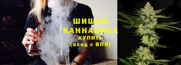 эйфоретик Бородино