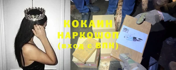 гидра Бронницы