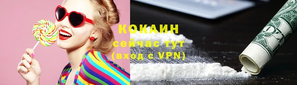 гидра Бронницы