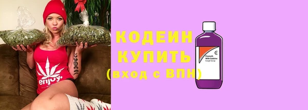 эйфоретик Бородино