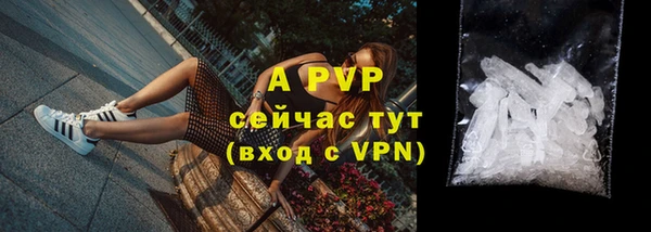 гидра Бронницы